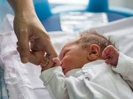 {{brizy_dc_image_alt entityId=