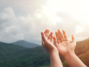 {{brizy_dc_image_alt entityId=