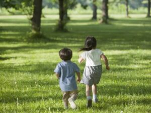 {{brizy_dc_image_alt entityId=